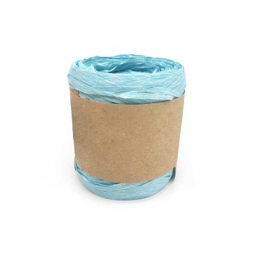 Compostable Raffia Ribbon - Blue