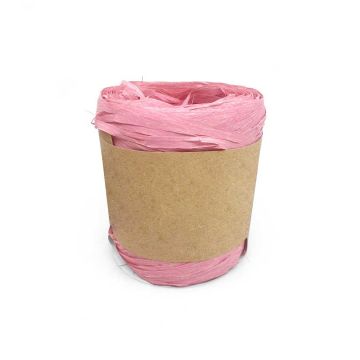 Biodegradable Raffia Ribbon - Pink