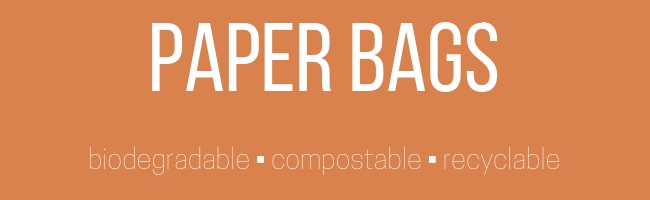 eco friendly paper bags